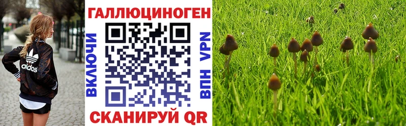 Галлюциногенные грибы ЛСД  гидра как войти  Железногорск 